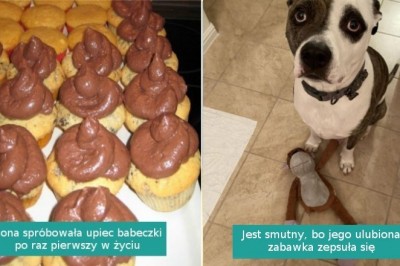 16 fotografii, które wzbudzają współczucie i potrzebę pocieszenia tych pechowców