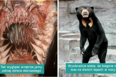 16 niepokojących fotografii, które podwyższyły nam tętno