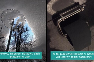 15 osób, których dzień nie mógł okazać się bardziej niezwykły