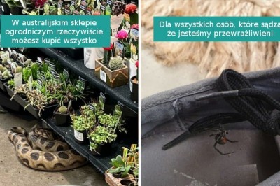 15 fotografii pokazujących uroki mieszkania w Australii