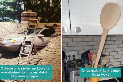 16 niepowtarzalnych fotografii, które poprawią wam humor, a jednocześnie zadziwią