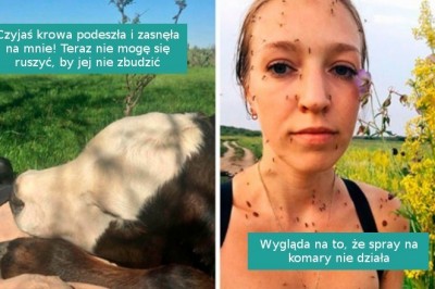 18 śmiesznych fotografii ludzi i zwierzaków, którzy pogodzili się ze swoim losem