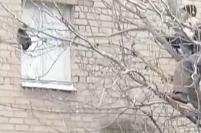 Ratowanie konta na drzewie w bardzo żenującym stylu