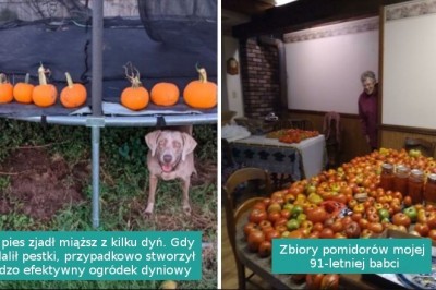 16 osób, które pokazały swoją miłość do ogrodnictwa