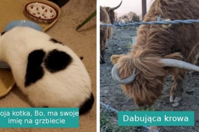 14 sytuacji, w których życie zafundowało nam darmowe przedstawienie