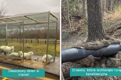 15 fotografii wyglądających jakby zrobiono je w innym wymiarze