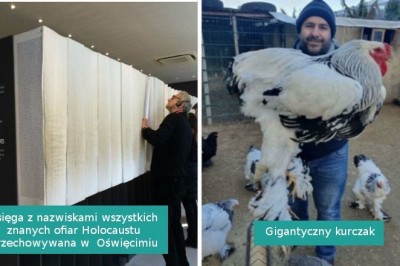 15 rzeczy i stworzeń, których rozmiar wprawił nas w zdumienie