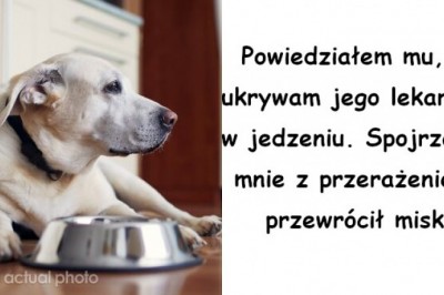 5 historii, w których zwierzaki udowodniły swoim właścicielom, że są naprawdę mądre