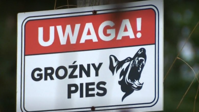 Psy miały atakować już wcześniej m.in. kobietę z dzieckiem i młodego mężczyznę. Nowe doniesienia w sprawie