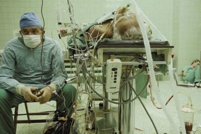 Mija 40 lat od pierwszego udanego przeszczepu serca w Polsce. Dokonał go profesor Zbigniew Religa