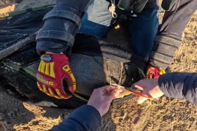 Ratunek dnia. Za taką pomoc dzikim zwierzętom należą się ogromne brawa