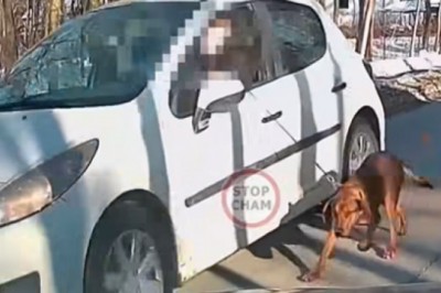 Jechał i trzymał psa na smyczy który biegł obok auta. Nagranie z Ząbek