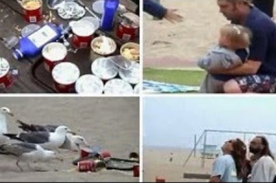 W 2012 roku grupa nastolatków nakarmiła mewy środkiem na przeczyszczenie. Taki był tego efekt.