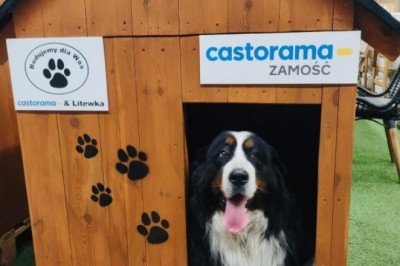 Pracownicy Castoramy z całej Polski zbudowali 222 budy dla psów. Wszystkie trafią do schronisk