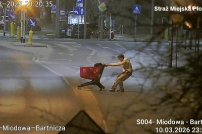 Chciał spełnić zachciankę koleżanki. Urządził jej przejażdżkę wózkiem sklepowym po ulicy w Płocku