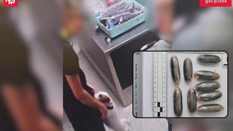 Połknął 89 kapsułek z kokainą. Lola pomogła udaremnić przemyt.