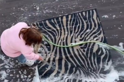 Ten żart to prawdziwe złoto. Zwykłe pranie dywanów zamienione w koszmar