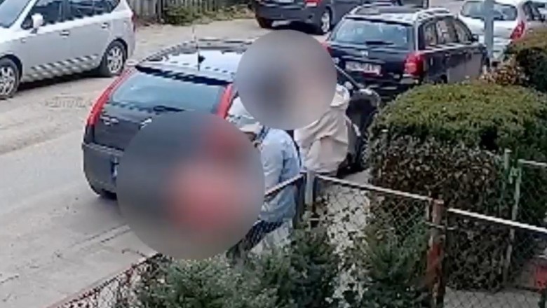 Wyrzucił i kopnął kota, tłumaczył, że zwierzę było agresywne. 20-latek odpowie za znęcanie się nad zwierzęciem