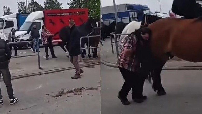 Wiadomo kim jest pijany mężczyzna znokautowany przez konia na targach w Pajęcznie. To dorożkarz z Krakowa!